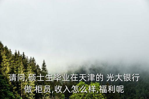 請問,碩士生畢業(yè)在天津的 光大銀行做 柜員,收入怎么樣,福利呢