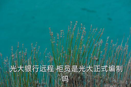  光大銀行遠程 柜員是光大正式編制嗎