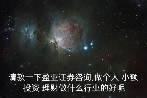 請(qǐng)教一下盈亞證券咨詢(xún),做個(gè)人 小額 投資 理財(cái)做什么行業(yè)的好呢