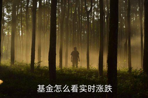  基金怎么看實時漲跌