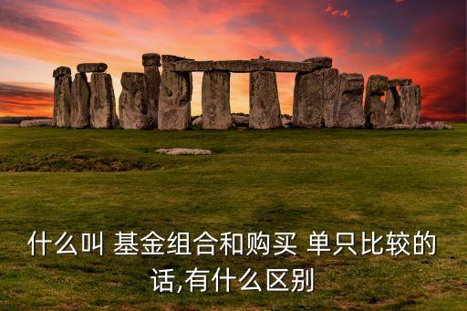 什么叫 基金組合和購(gòu)買(mǎi) 單只比較的話,有什么區(qū)別