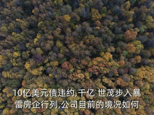 世茂集團評級,世茂地產(chǎn)集團