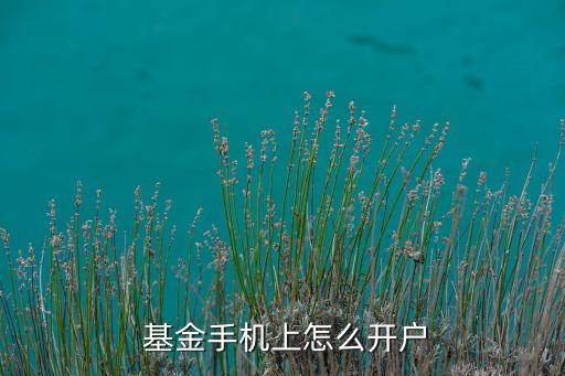  基金手機上怎么開戶