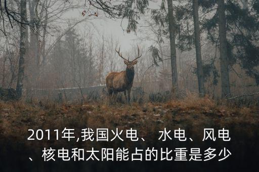 中國(guó)水電比例