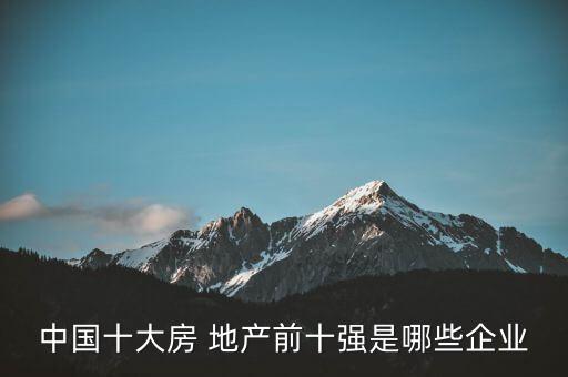 中國十大房 地產(chǎn)前十強(qiáng)是哪些企業(yè)