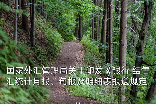 國家外匯管理局關(guān)于印發(fā)《銀行 結(jié)售匯統(tǒng)計月報、旬報及明細表報送規(guī)定...