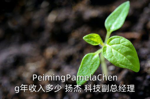 PeimingPamelaCheng年收入多少 揚杰 科技副總經(jīng)理