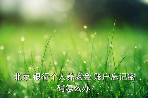  北京 銀行個人養(yǎng)老金 賬戶忘記密碼怎么辦