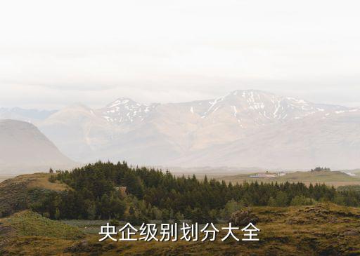 央企級別劃分大全