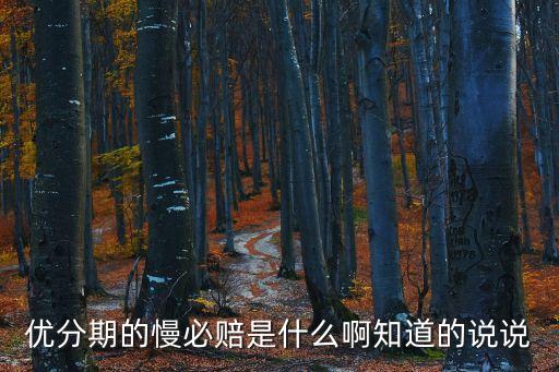 優(yōu)分期的慢必賠是什么啊知道的說說