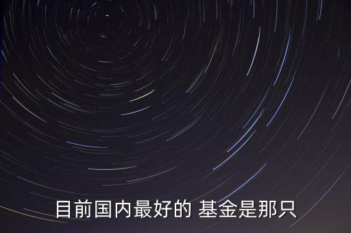 目前國(guó)內(nèi)最好的 基金是那只