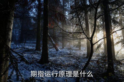 期指運(yùn)行原理是什么