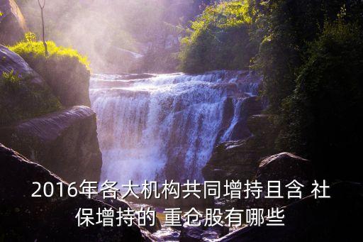社?；鹬貍}股一覽,2023年社?；鹬貍}股