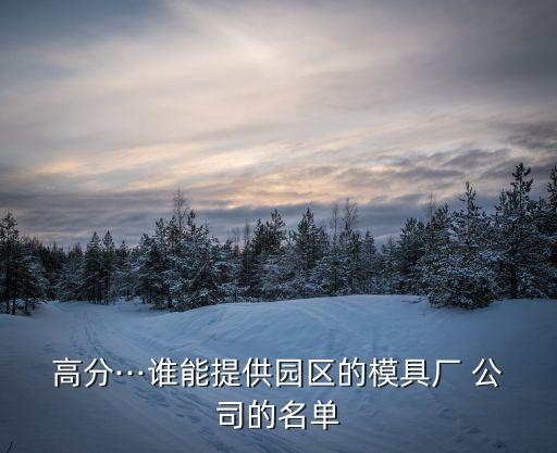 高分···誰(shuí)能提供園區(qū)的模具廠 公司的名單