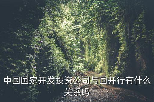 中國(guó)國(guó)家開發(fā)投資公司與國(guó)開行有什么關(guān)系嗎