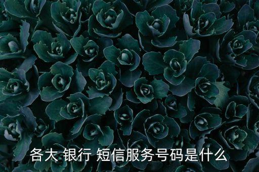 各大 銀行 短信服務(wù)號(hào)碼是什么