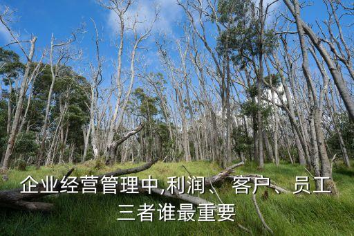 企業(yè)經(jīng)營(yíng)管理中,利潤(rùn)、 客戶、員工三者誰(shuí)最重要
