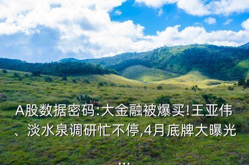 A股數(shù)據(jù)密碼:大金融被爆買!王亞偉、淡水泉調(diào)研忙不停,4月底牌大曝光...