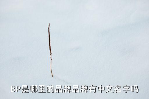 bp中國區(qū)