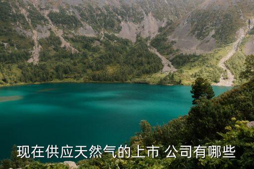 現(xiàn)在供應天然氣的上市 公司有哪些