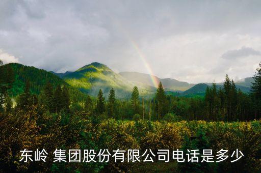  東嶺 集團股份有限公司電話是多少