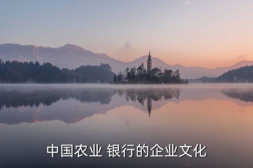 中國農(nóng)業(yè) 銀行的企業(yè)文化