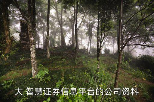 上海大智慧財(cái)匯數(shù)據(jù)科技,合肥大智慧財(cái)匯數(shù)據(jù)
