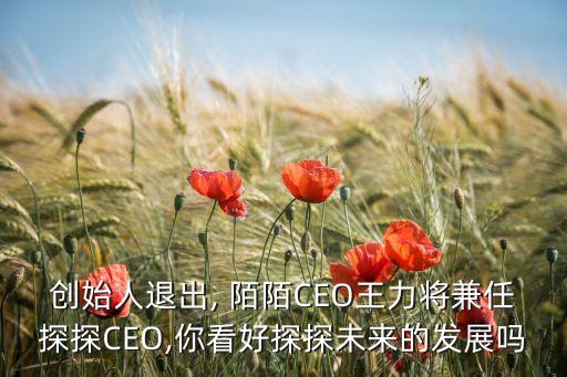 創(chuàng)始人退出, 陌陌CEO王力將兼任探探CEO,你看好探探未來(lái)的發(fā)展嗎