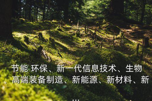 節(jié)能環(huán)保龍頭股票,中國節(jié)能環(huán)保集團股票