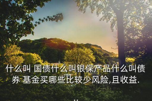 什么叫 國(guó)債什么叫銀保產(chǎn)品什么叫債券 基金買(mǎi)哪些比較少風(fēng)險(xiǎn),且收益...
