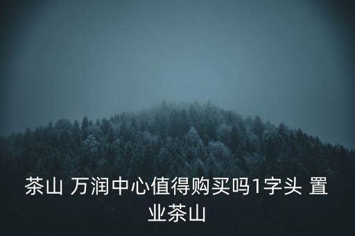 茶山 萬(wàn)潤(rùn)中心值得購(gòu)買(mǎi)嗎1字頭 置業(yè)茶山