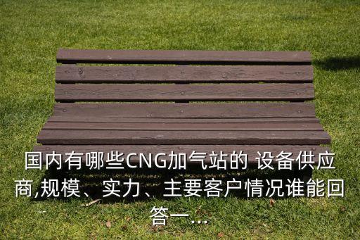 國內(nèi)有哪些CNG加氣站的 設(shè)備供應(yīng)商,規(guī)模、實力、主要客戶情況誰能回答一...
