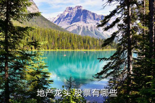陽(yáng)光城股票最新消息,000671陽(yáng)光城股吧