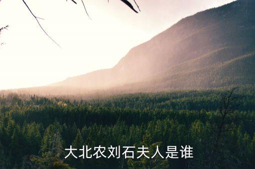  大北農(nóng)劉石夫人是誰(shuí)