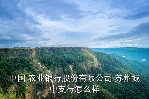 中國(guó) 農(nóng)業(yè)銀行股份有限公司 蘇州城中支行怎么樣