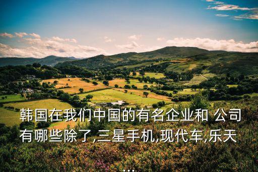韓國(guó)公司在中國(guó)