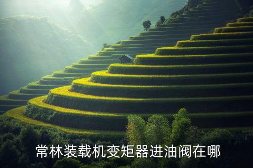  常林裝載機變矩器進油閥在哪