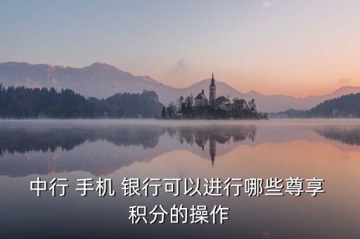 中行 手機 銀行可以進行哪些尊享 積分的操作