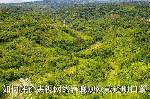 如何評(píng)價(jià)央視網(wǎng)絡(luò)春晚觀(guān)眾戴透明口罩
