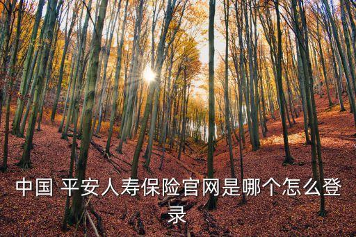 中國 平安人壽保險官網(wǎng)是哪個怎么登錄