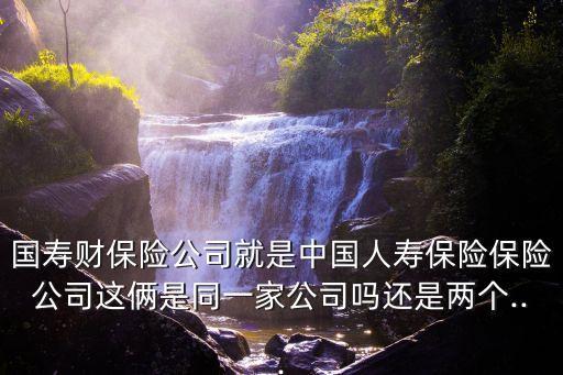 國(guó)壽財(cái)保險(xiǎn)公司就是中國(guó)人壽保險(xiǎn)保險(xiǎn)公司這倆是同一家公司嗎還是兩個(gè)...