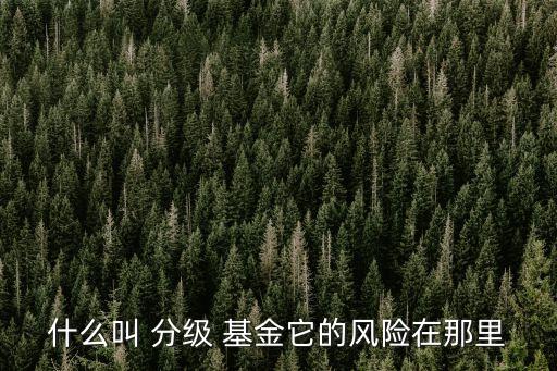 分級(jí)基金的子基金,富國(guó)基金國(guó)企改革分級(jí)基金