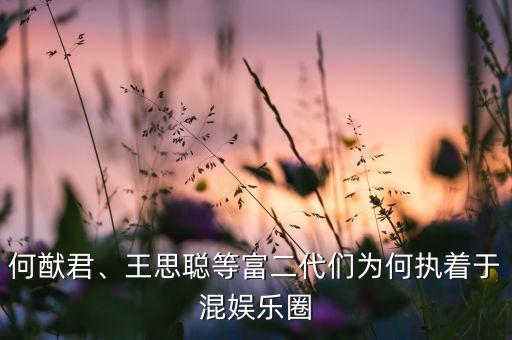 何猷君、王思聰?shù)雀欢鷤優(yōu)楹螆?zhí)著于混娛樂圈