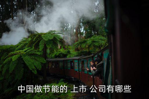 中礦環(huán)保科技是不是上市公司,萬(wàn)德斯環(huán)?？萍忌鲜泄?/></a></span><span id=