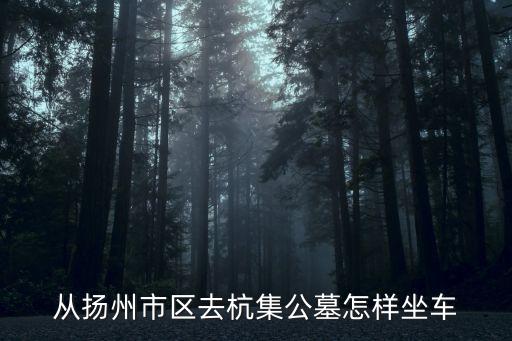 瓊花集團,揚州瓊花集團