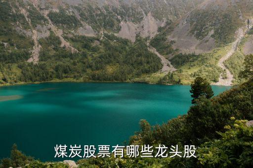 煤炭股票有哪些龍頭股