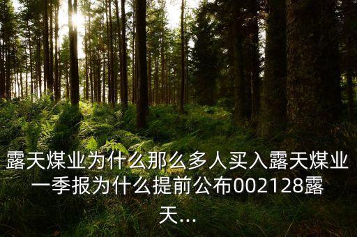 露天煤業(yè)為什么那么多人買入露天煤業(yè)一季報為什么提前公布002128露天...