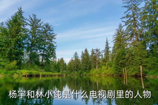 新奧集團(tuán)楊宇簡(jiǎn)介,楊宇 新奧集團(tuán)股份有限公司