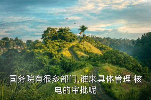 國(guó)務(wù)院有很多部門,誰(shuí)來(lái)具體管理 核電的審批呢
