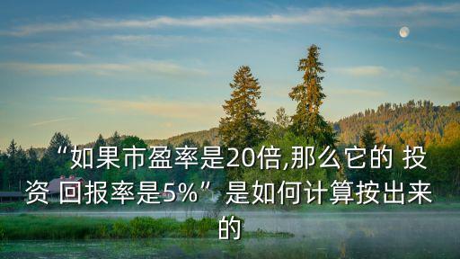 “如果市盈率是20倍,那么它的 投資 回報率是5%”是如何計算按出來的